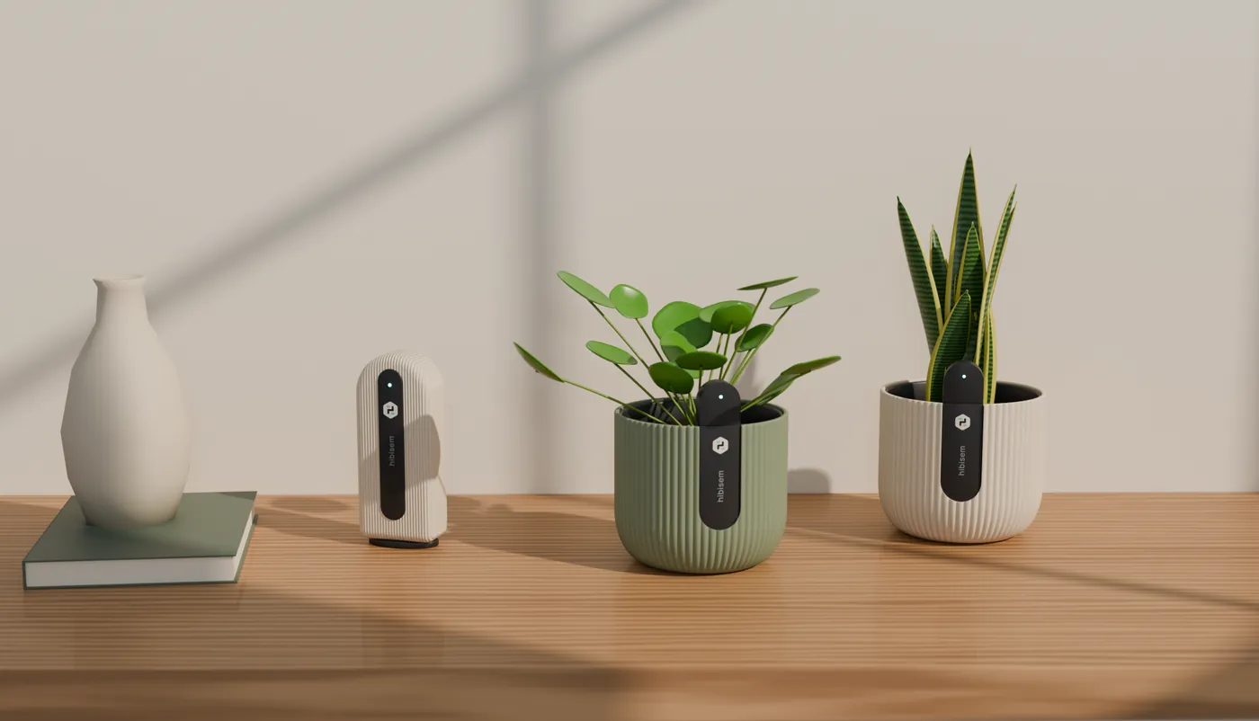 Beacon station on an oak sideboard next to two Hibisem pots