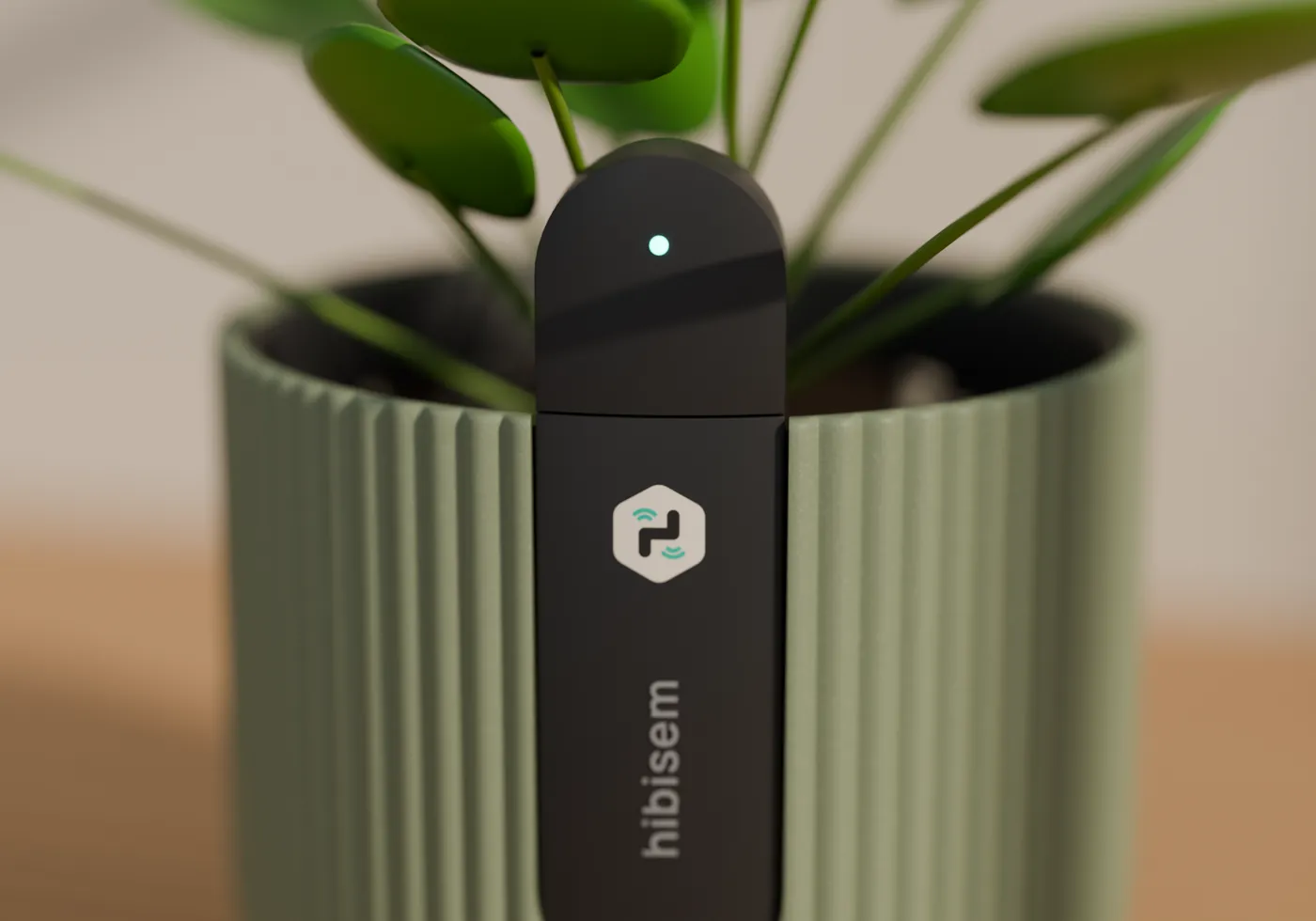 Close-up of the graphite sensor fin with a glowing teal status light on a sage pot