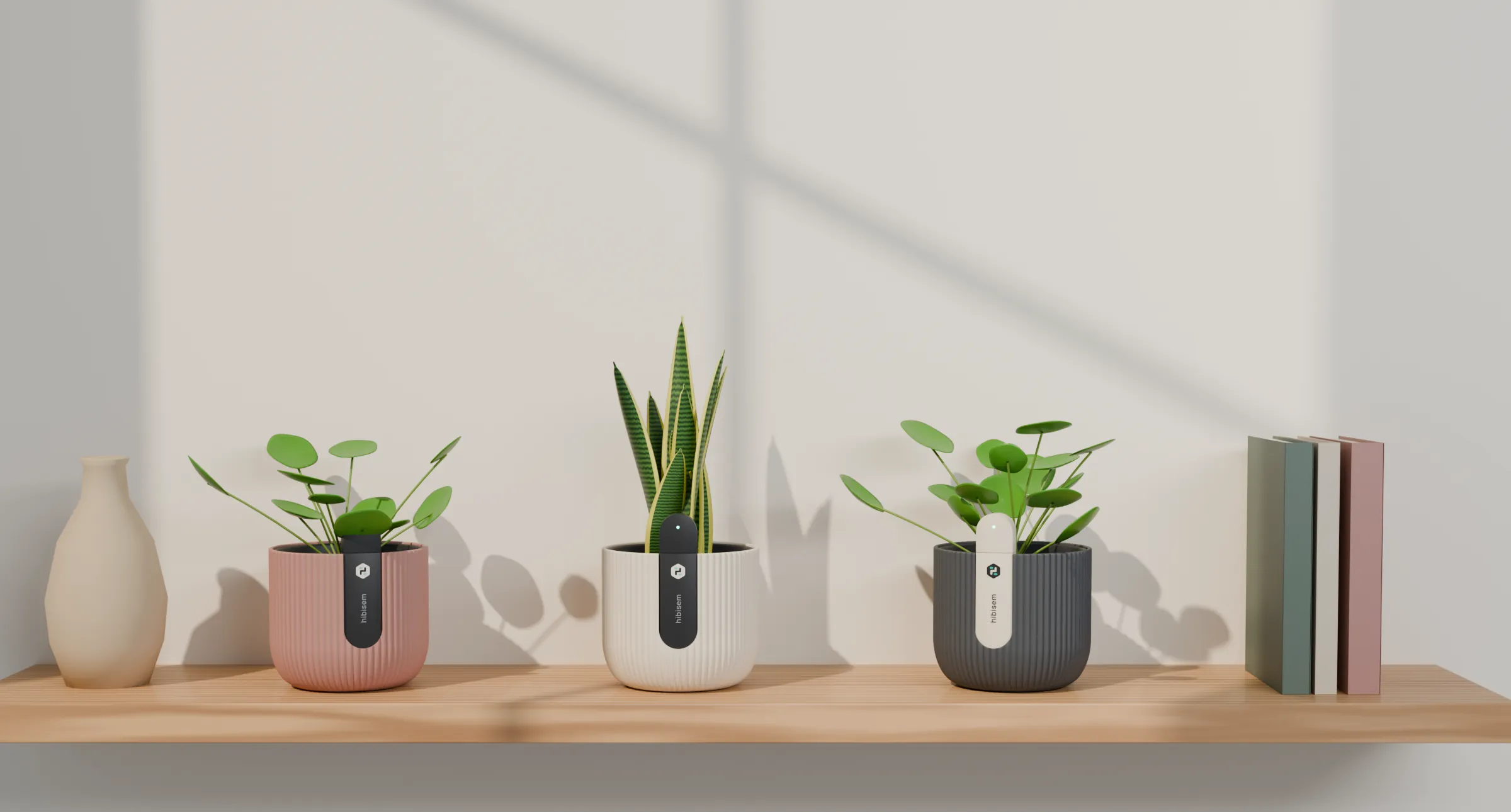 Rose, sand and graphite Hibisem pots with plants on a floating oak shelf